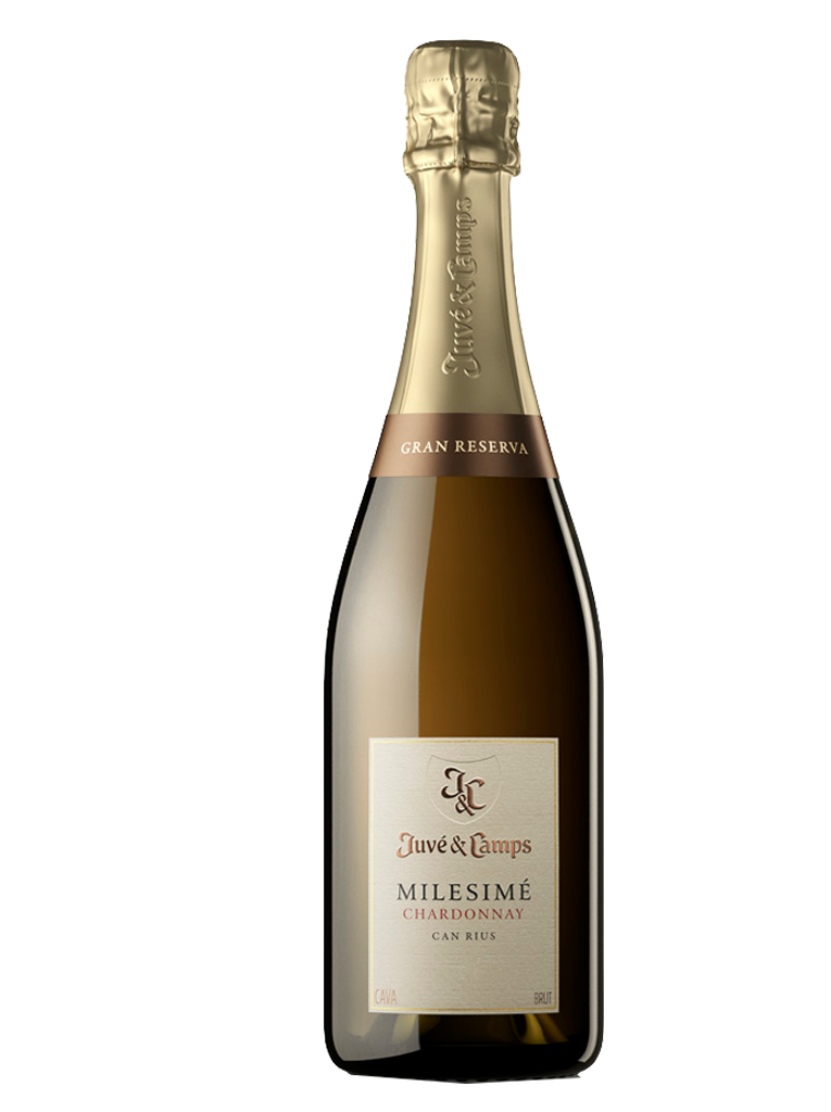 Juvé & Camps Millesimé Chardonnay