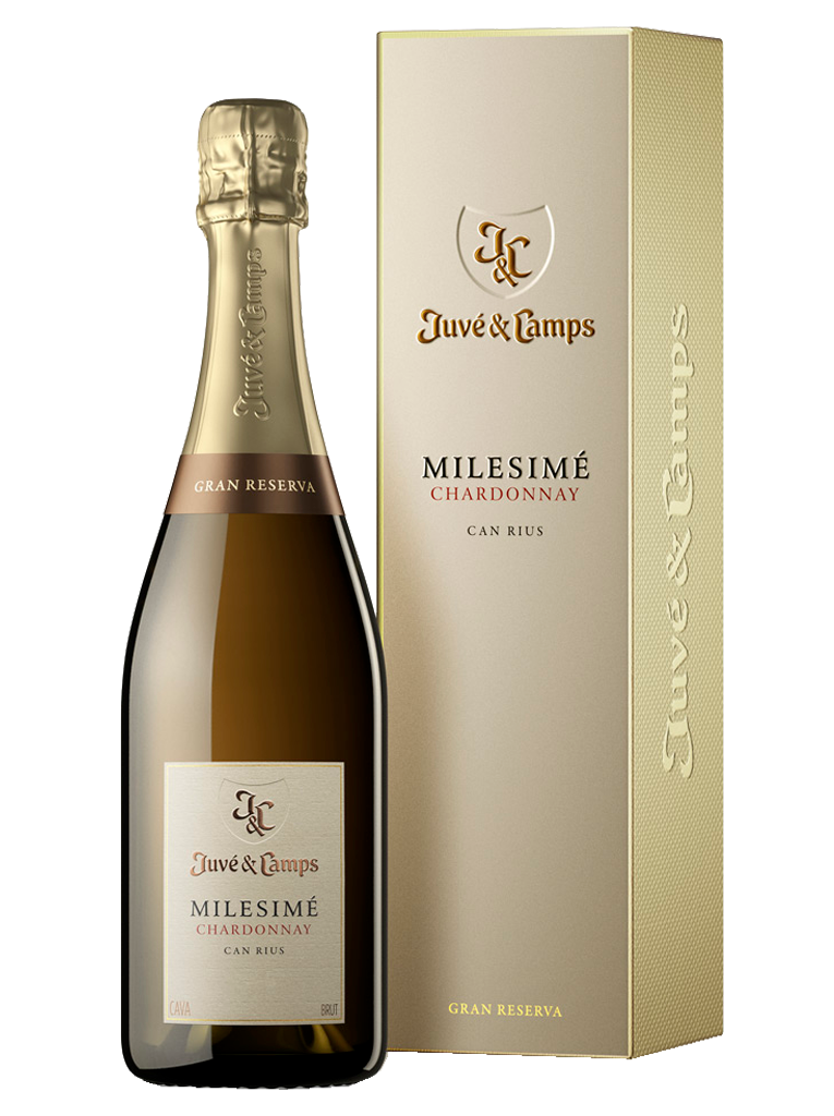 Juvé & Camps Millesimé Chardonnay