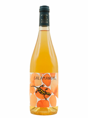 Vino Orange Salamandre Orange Wine.jpg