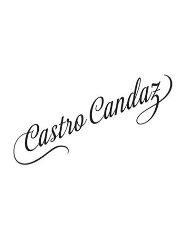 Castro Candaz