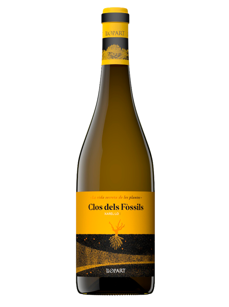 Llopart Clos dels Fòssils