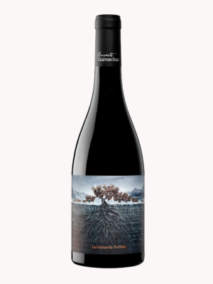 La Garnacha Perdida Del Pirineo.jpg